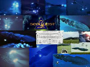 collage3