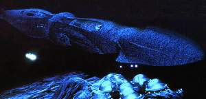 seaQuest