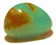 Andenopal