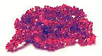 roter Soinell
